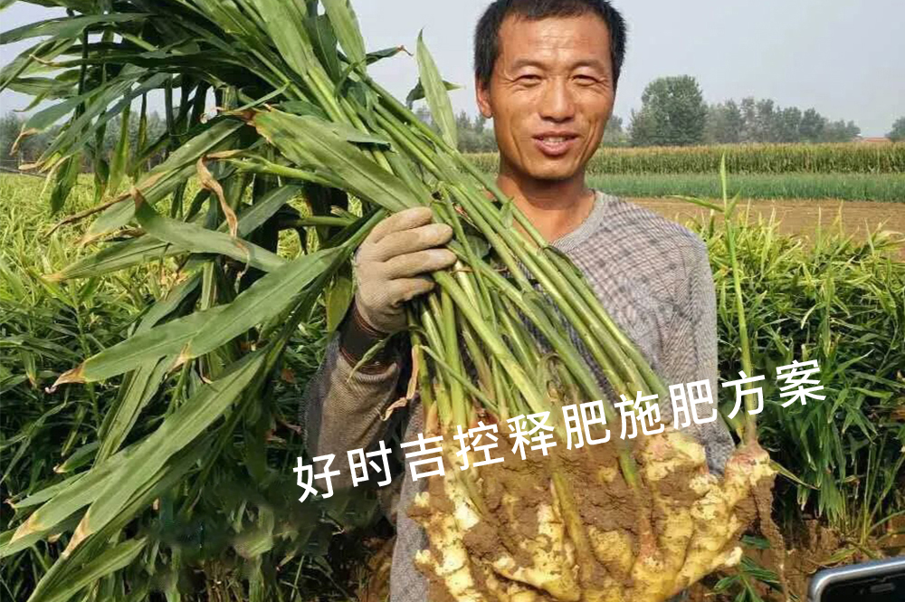 农民对产品非常满意
