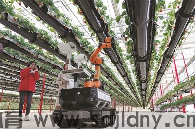 2025年中国农村电商行业发展现状、竞争格局及趋势预测