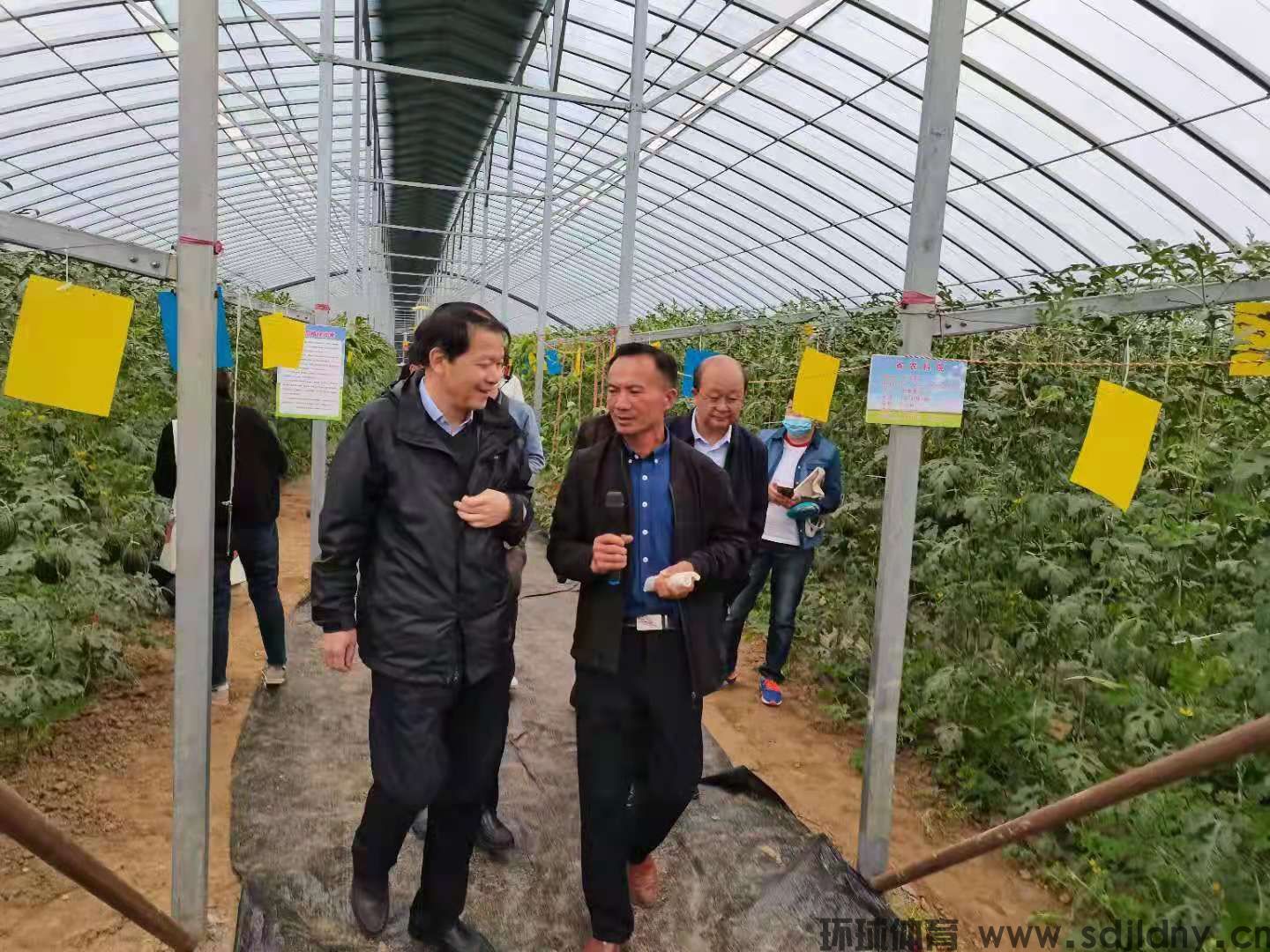 AI助力农业智慧农业新突破：卫星遥感技术推动乡村振兴